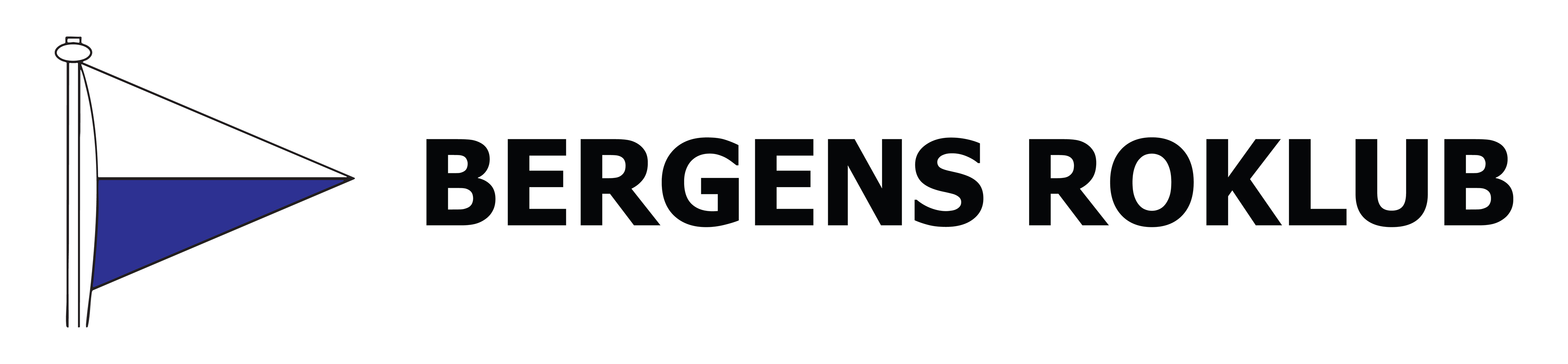 Norgesmesterskap i ergometerroing